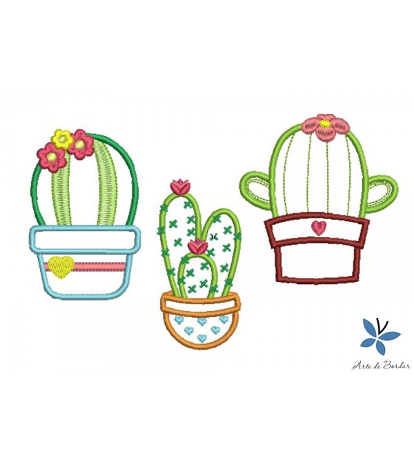  Cactus 004