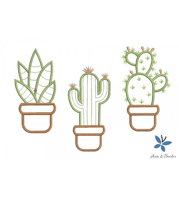  Cactus 005