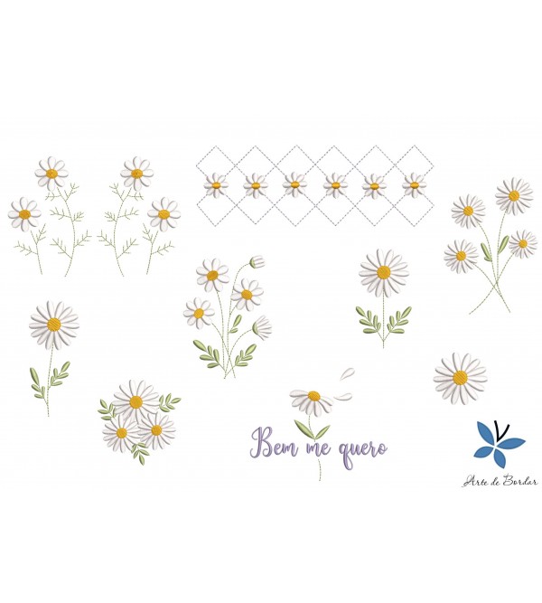 Daisy Collection 003