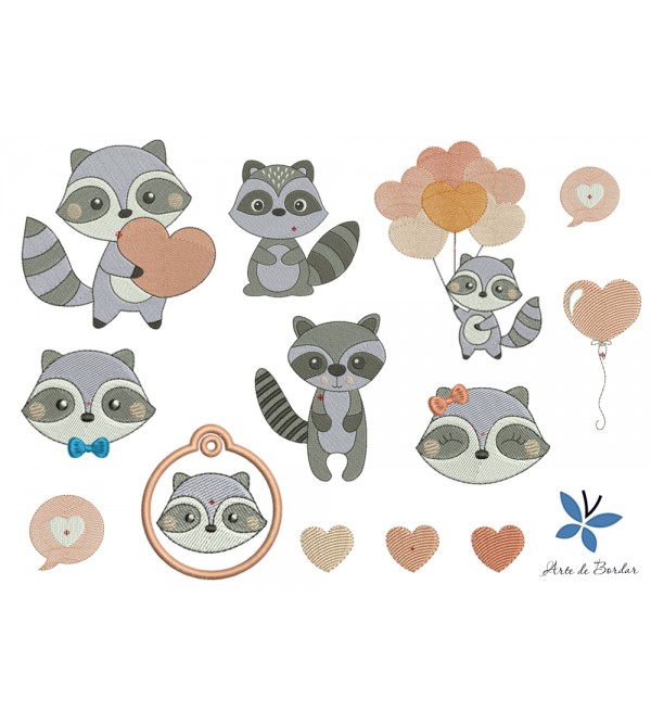Raccoon Collection 001