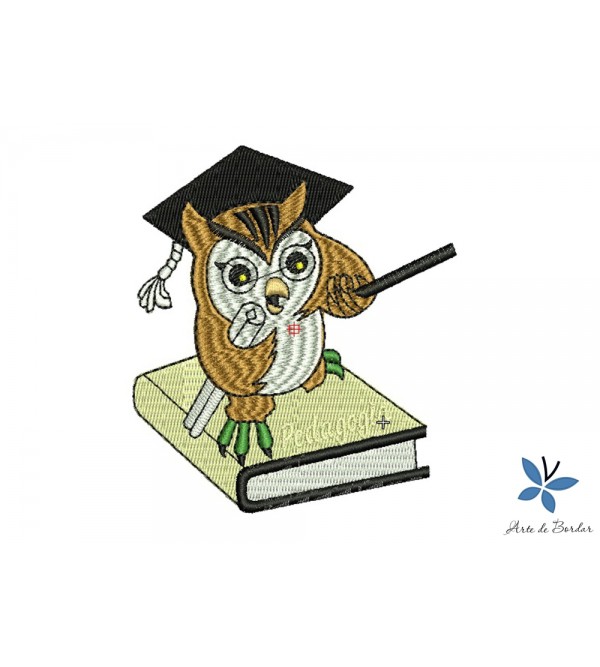 Matriz de Bordado Pedagogia 004